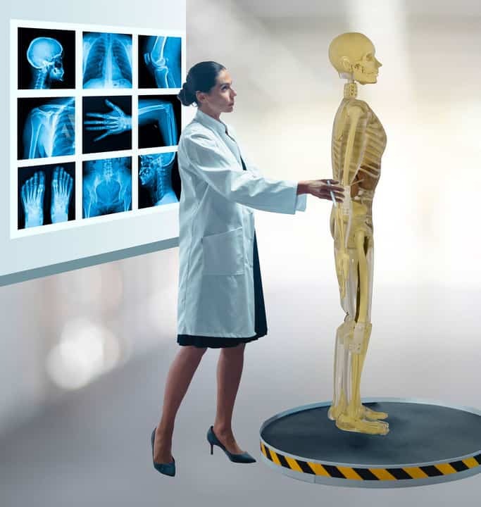 High-fidelity radiological technologist training phantom